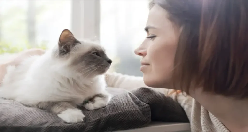 woman petting her cat next to a window